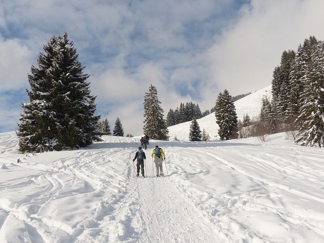 Pasando con raquetas por el camino nevado.jpg